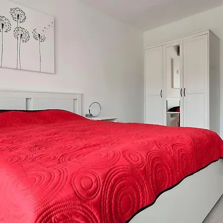 Silver Sun * シオーフォク